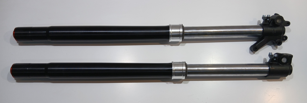 Амортизатор передний (перья, комплект) L=860мм Мотоцикл PROGASI Palma 250 SE