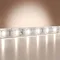 Светодиодная лента Базовая 24В 2835 9,6Вт/м 6000K 5м IP 65 201182 Led Strip 201182