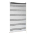 Рулонная штора Лагос, 160х52 см, шир.крепл. 56 см, белый, серебро, СРШ-01МК-4482