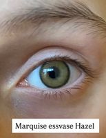 Натуральные медовые цветные линзы Marquise essvase Hazel / Для темных и светлых глаз / 12 месяцев