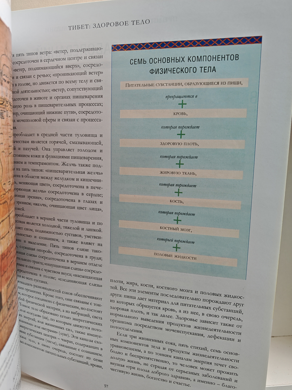 Секреты восточной медицины. Практическая энциклопедия традиционных методов диагностики и лечения Китая, Индии, Тибета и Японии