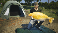 Euro Fishing: Ultimate Edition (для ПК, цифровой код доступа)