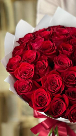 Красные розы премиум сорта в стильном оформлении от Флора Маркет