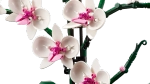Конструктор LEGO Botanical Collection 10311 Орхидея