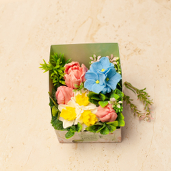 Букет нарциссы с тюльпанами в коробке