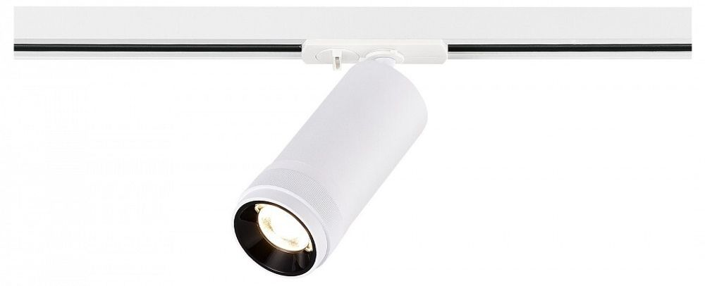 Светильник на штанге ST-Luce BASE ST385.546.20