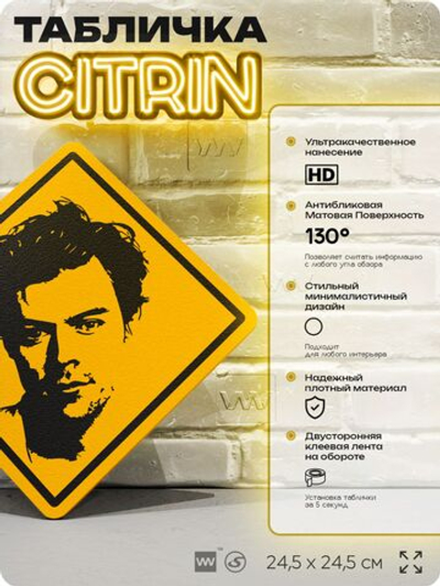 Табличка декоративная "Гарри Стайлс, Harry Styles" на дверь и стену, прикольная штука в подарок, декоративный знак, 24,5х24,5 см, пластиковая, Айдентика Технолоджи