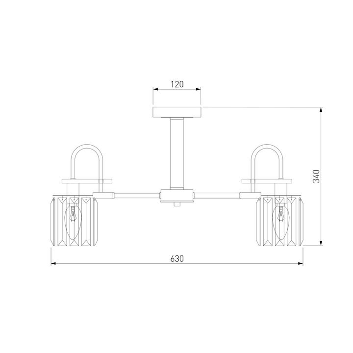 Потолочная люстра Eurosvet Tenia 70090/5 черный