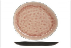 Тарелка овальная 27*23 см  LAGUNA OLD ROSE