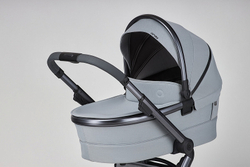 Детская коляска Anex l/type 2 в 1 lt-10t frost