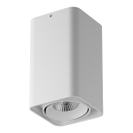 052136-IP65 Светильник MONOCCO LED10W 600LM 30G БЕЛЫЙ 4000K