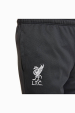 Штаны Nike Liverpool FC 22/23 Dry Academy Pro Little Kids