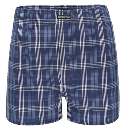 Синие хлопковые трусы-боксеры в клеточку plus size (Размер: XXXL) (Цвет: разноцветный)