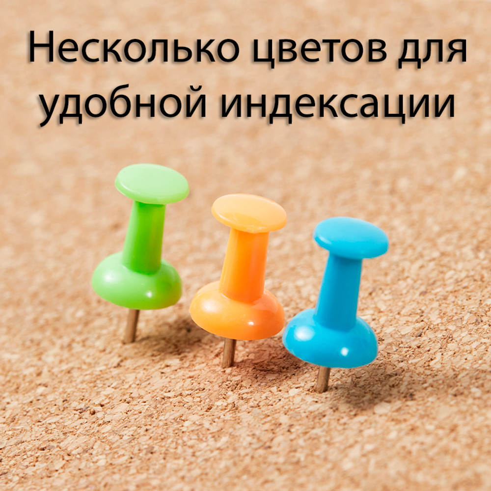 Гвоздики для доски DELI "i Select", цветные, 50 штук в коробочке