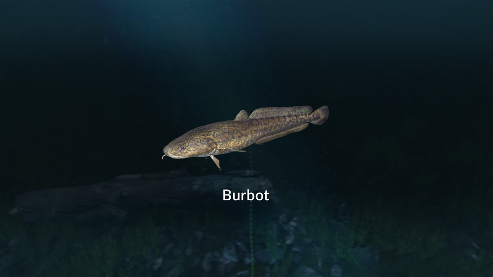 Ultimate Fishing Simulator - New Fish Species (для ПК, цифровой код доступа)