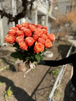 Букет "Персиковый джем" 25 шт.
