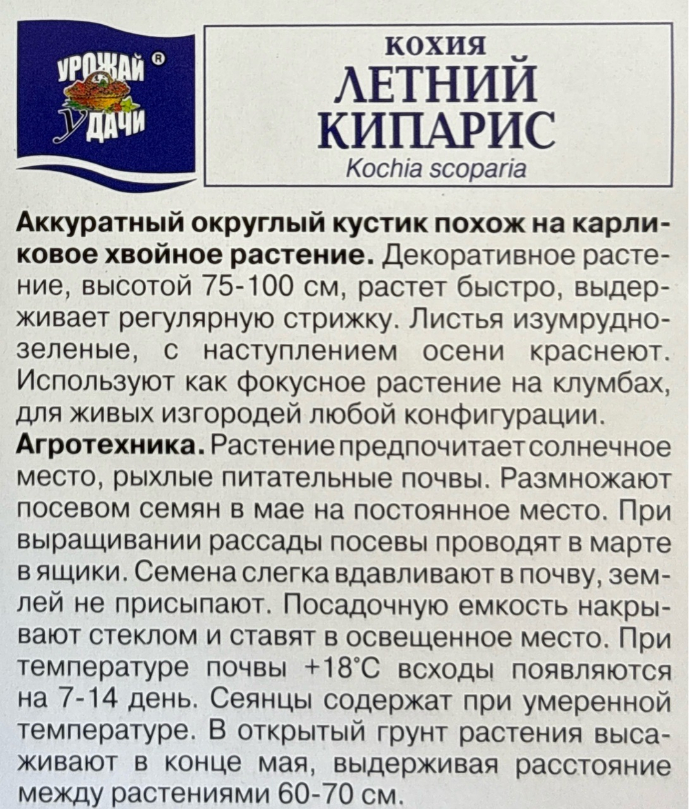 Кохия Летний кипарис 0,2 г СМЦ-836