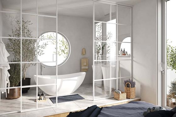 Алюминиевая стеклянная перегородка Классическая №5 белая