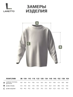 Лонгслив для мальчика на осень