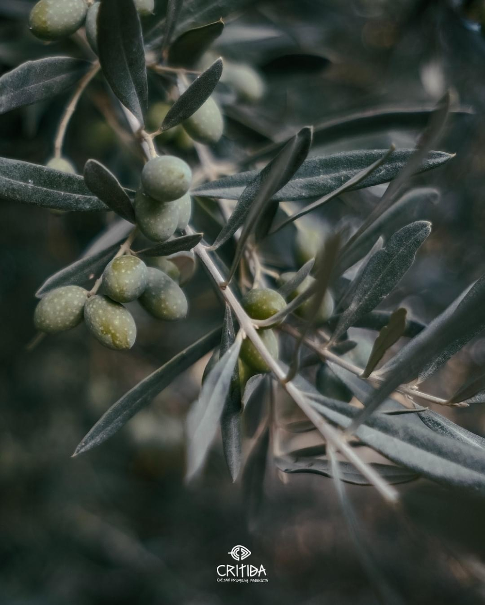 Оливковое масло Critida Morеsca Bio Supеrrior Catеgory, ст, 0,5 л, Греция