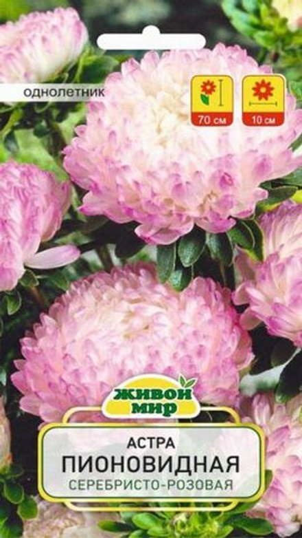 Астра "ЖМ. Пиoнoвиднaя cepeбpиcтo-poзoвaя" 0,3г., Польша.