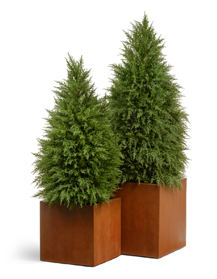 Кашпо TREEZ Effectory Corten Steel Куб Бархатистая окись 50х50х50 см 41.33-10-21-061-CS-50