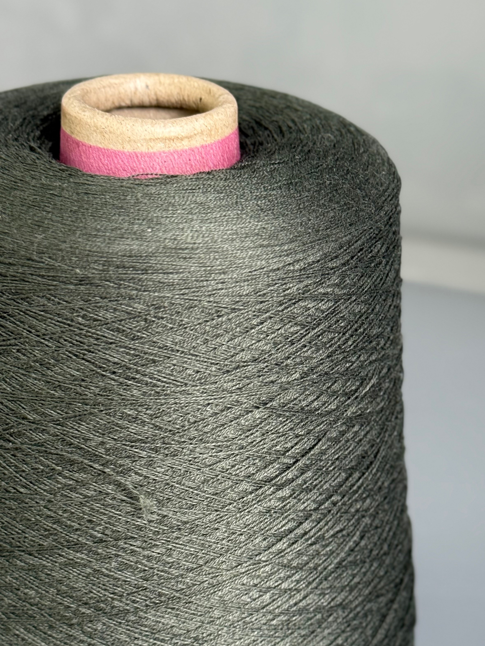 Пряжа Servizi e Seta COTSILK 2/48 (50% шелк 50% хлопок) 2400 м/100 гр, хвойный