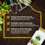 NaturesPlus, Source of Life®, Garden, фолат, 60 веганских капсул