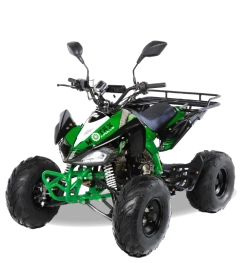 Квадроцикл MOTAX ATV T-Rex-LUX 50 сс