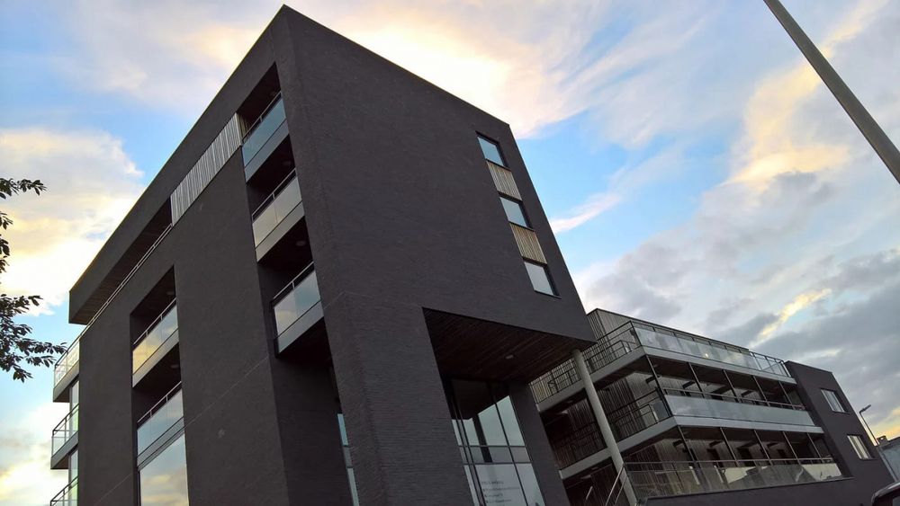 Кирпич ручной формовки облицовочный Nelissen, Ferro, WF50, 210x100x50