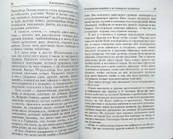 В немецком плену (у)