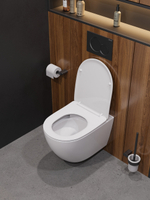 Унитаз подвесной безободковый с сиденьем и смывом TORNADO CEZARES STYLUS-TOR 2.0 CZR-546-TH-TOR/SC