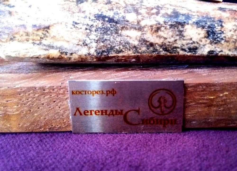 Мамонт шерстистый