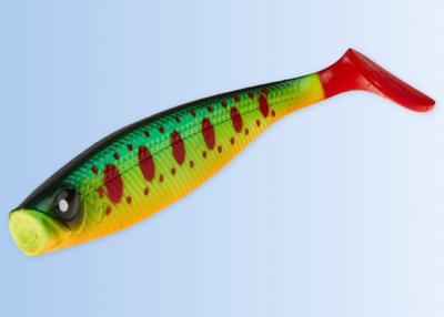Red Tail Shad