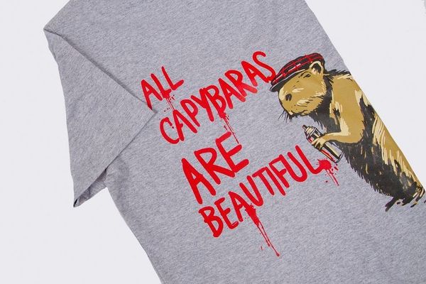 Футболка Капибара ACAB - фото 2