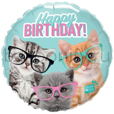 Фольгированная фигура, круг, HB Котята в очках,18"/45CM