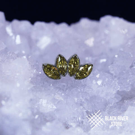 4K Nymphaea HM Olive