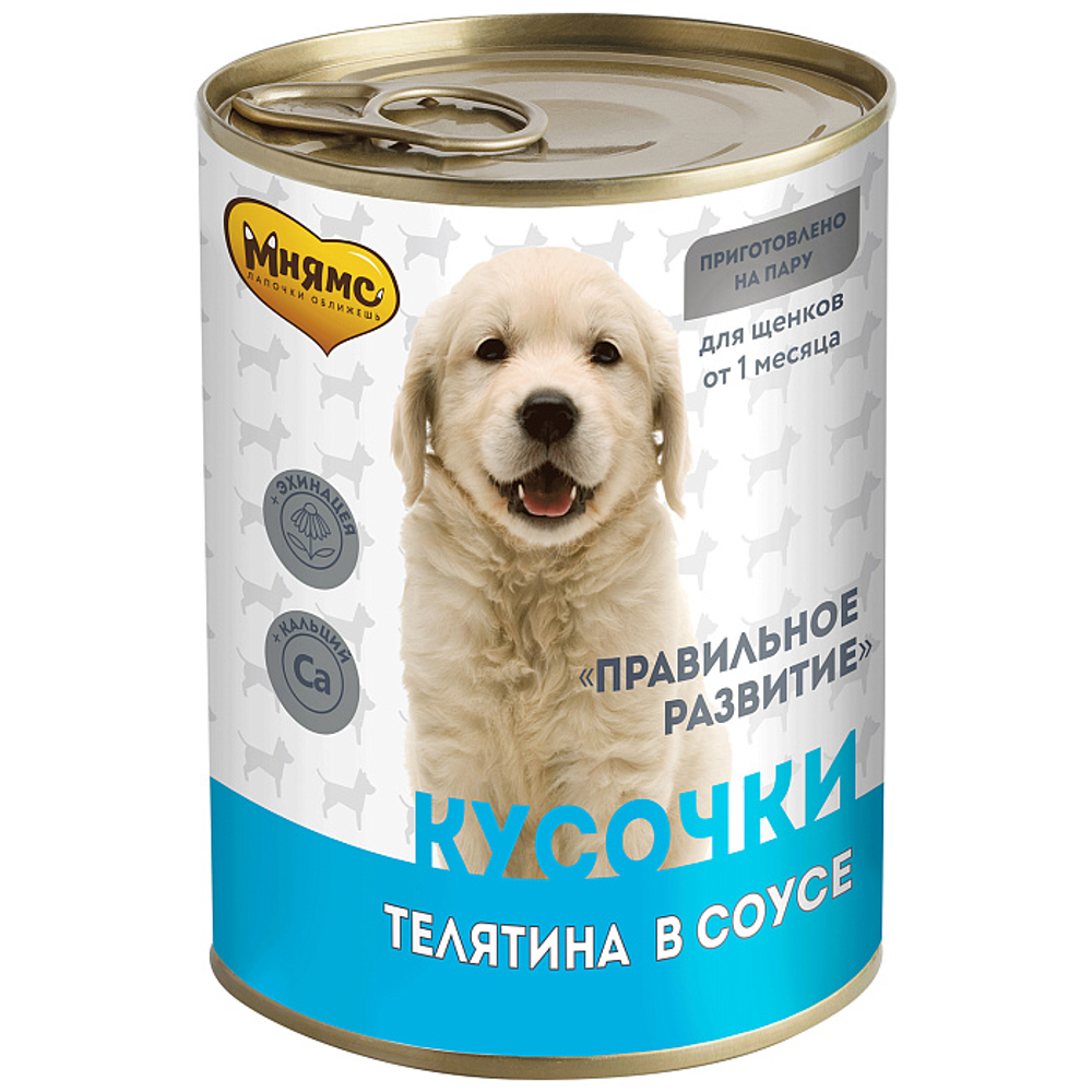 Влажный корм Мнямс На каждый день Кусочки в соусе с телятиной для щенков «ПРАВИЛЬНОЕ РАЗВИТИЕ» 400 г
