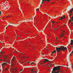 Шкурка DipGrip Lava c перфорацией