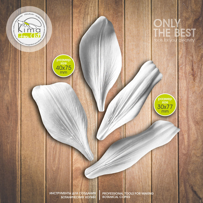 Лилия средняя набор