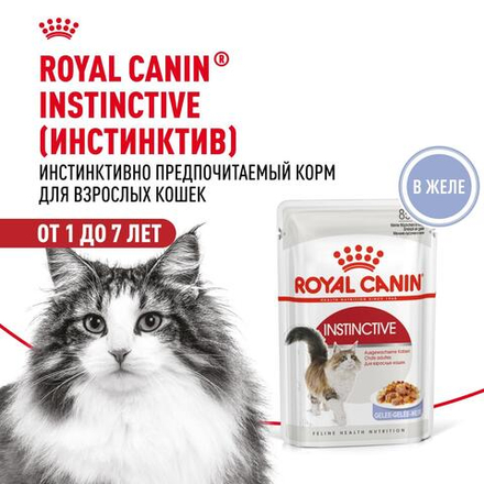 Royal Canin Instinctive Корм консервированный для взрослых кошек желе 85г
