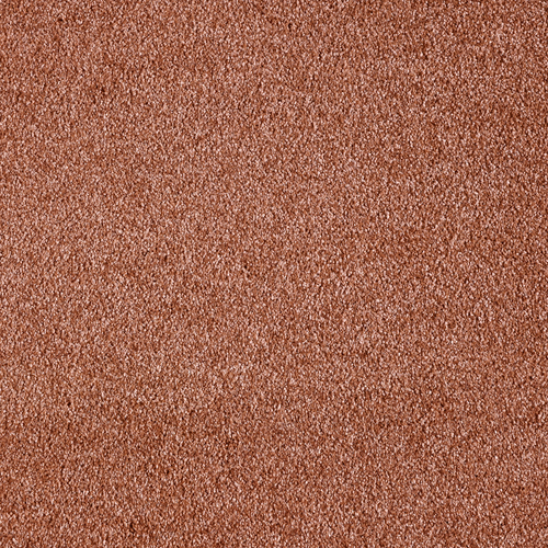 Ковровое покрытие AW Secret New 85