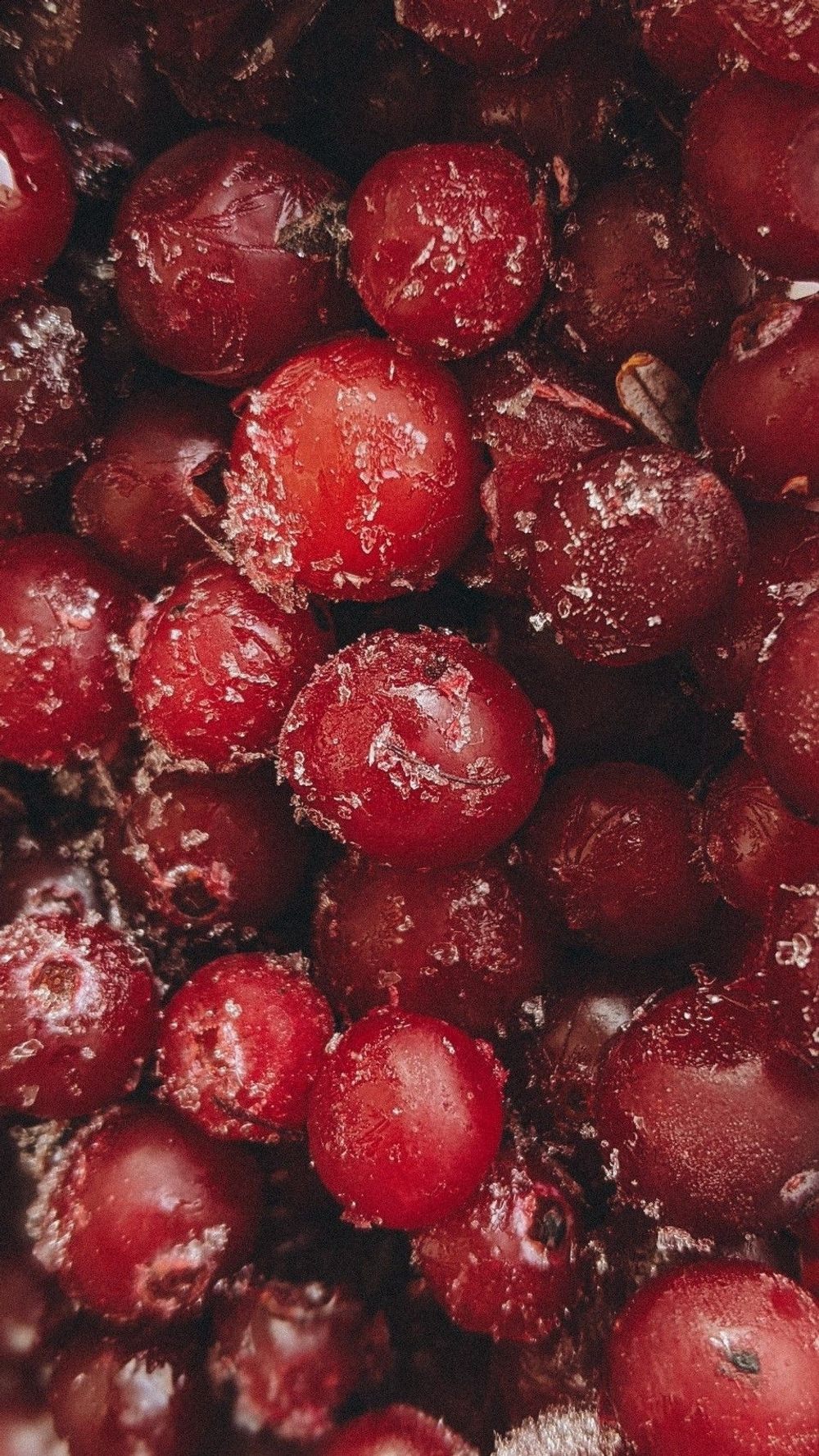 Клюква свежая