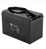 Литий-железо-фосфатный Аккумулятор RuTrike (LiFePo4) 24V52A/H(80A)