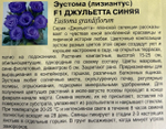 Эустома Джульетта синяя F1  4 шт крупноцв. СМЦ-352