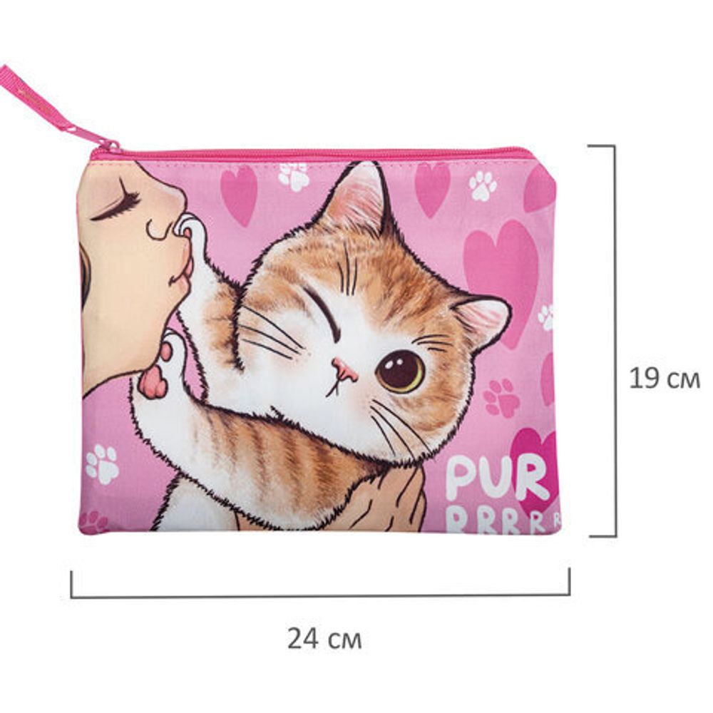 Папка для тетрадей BRAUBERG А5, 1 отделение, полиэстер, на молнии, с ручкой, "Kiss", 270972