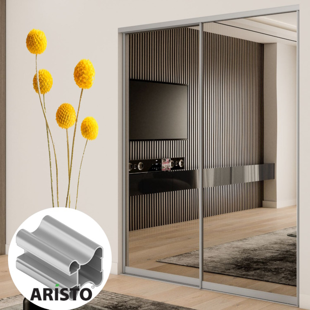 Дверь-купе ARISTO Н, зеркало, профиль хром матовый