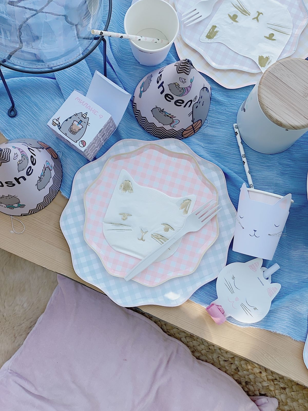 Cat Pusheen Party