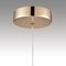 Подвесной светодиодный светильник Lumion Ledio Rimini 8083/1A