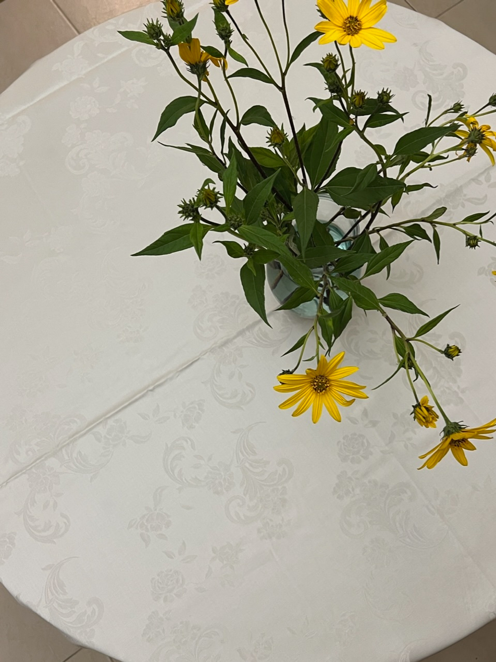 Скатерть 220 и 12 салфеток Palombella Svezia сливочные